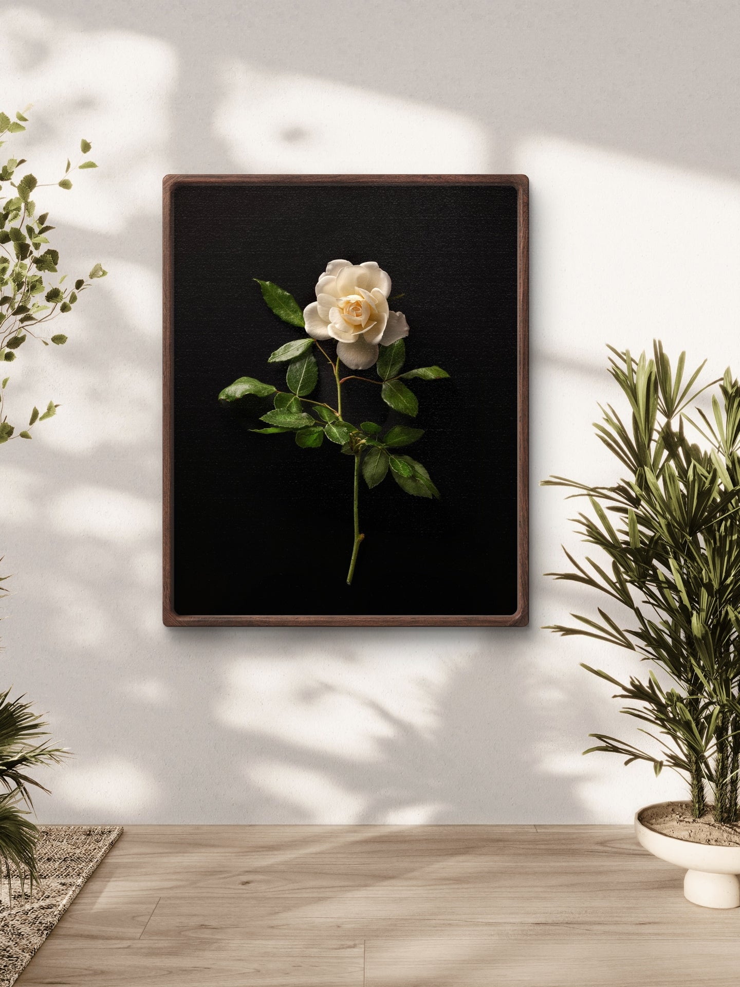 Single White Rose