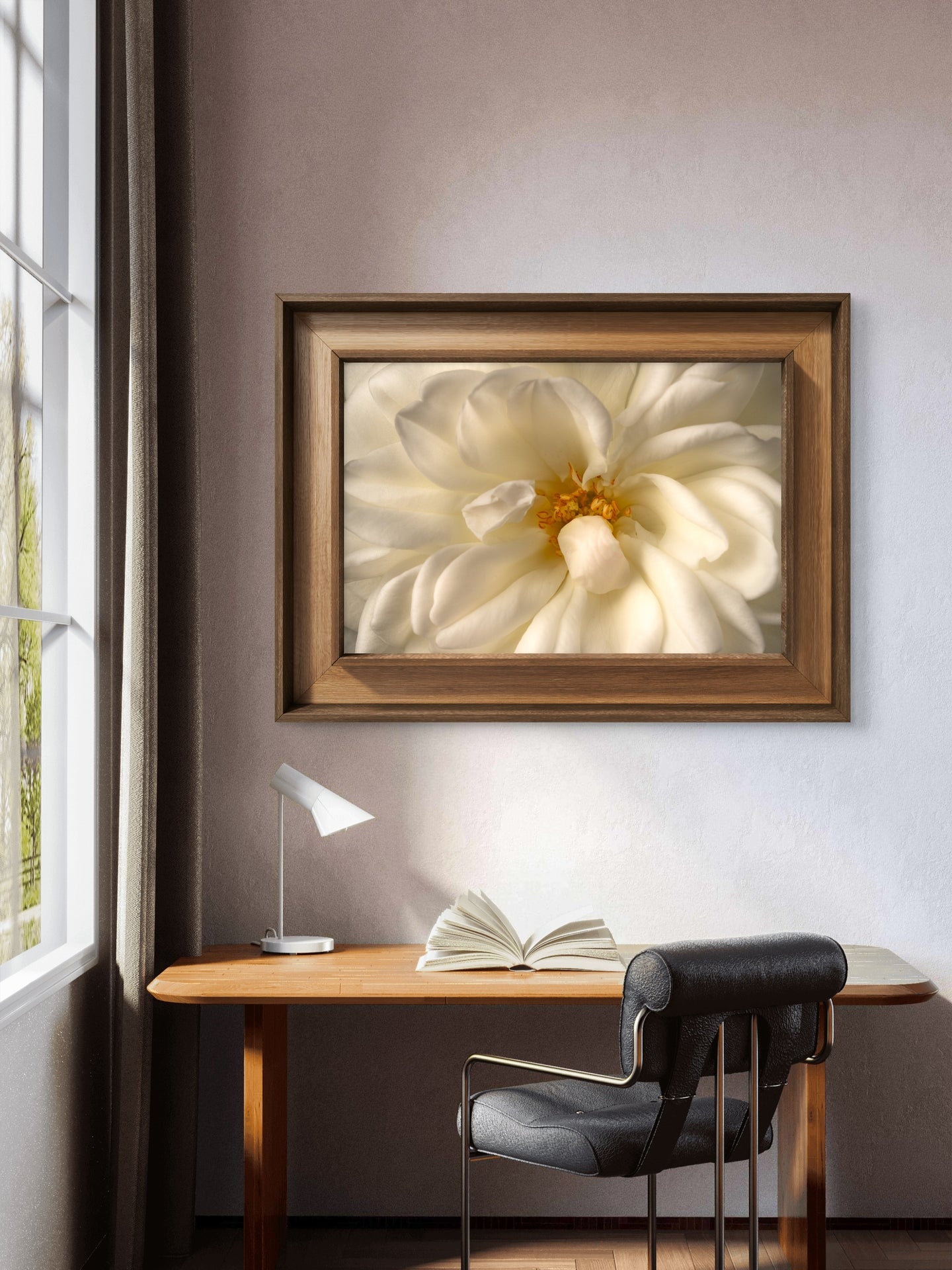 Close View White Rose