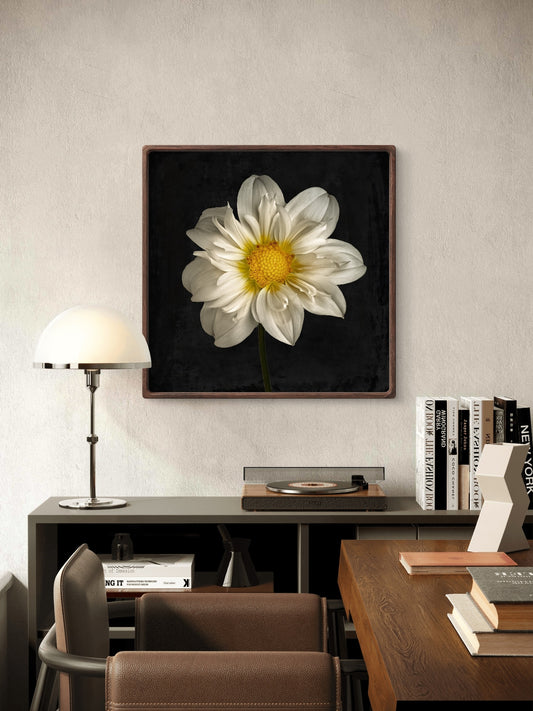 Cherubino Dahlia Portrait