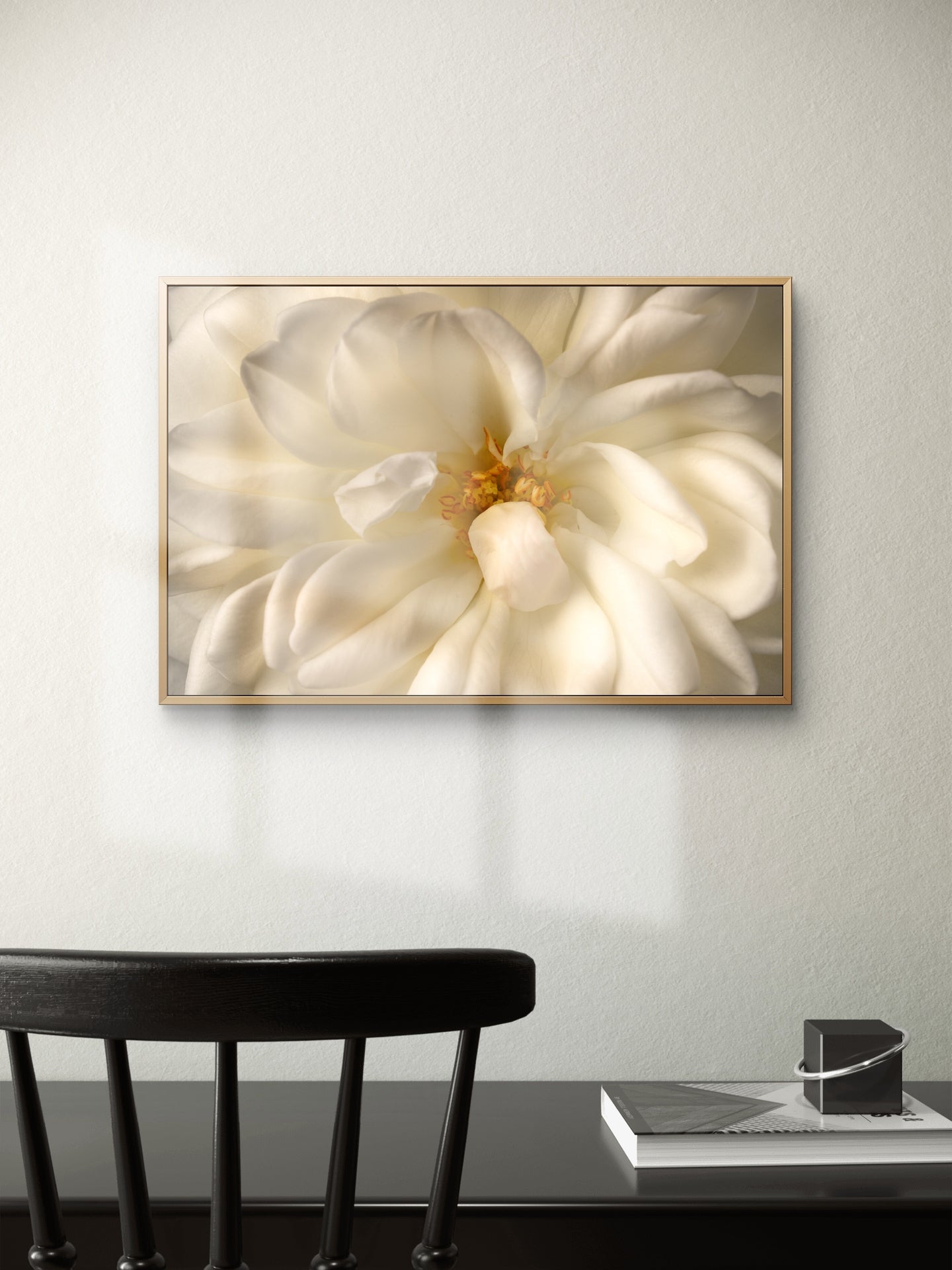 Close View White Rose