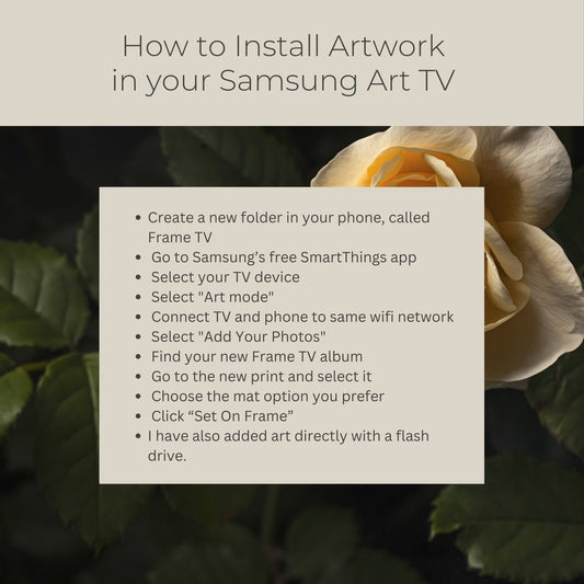 Yellow Rose - Frame TV