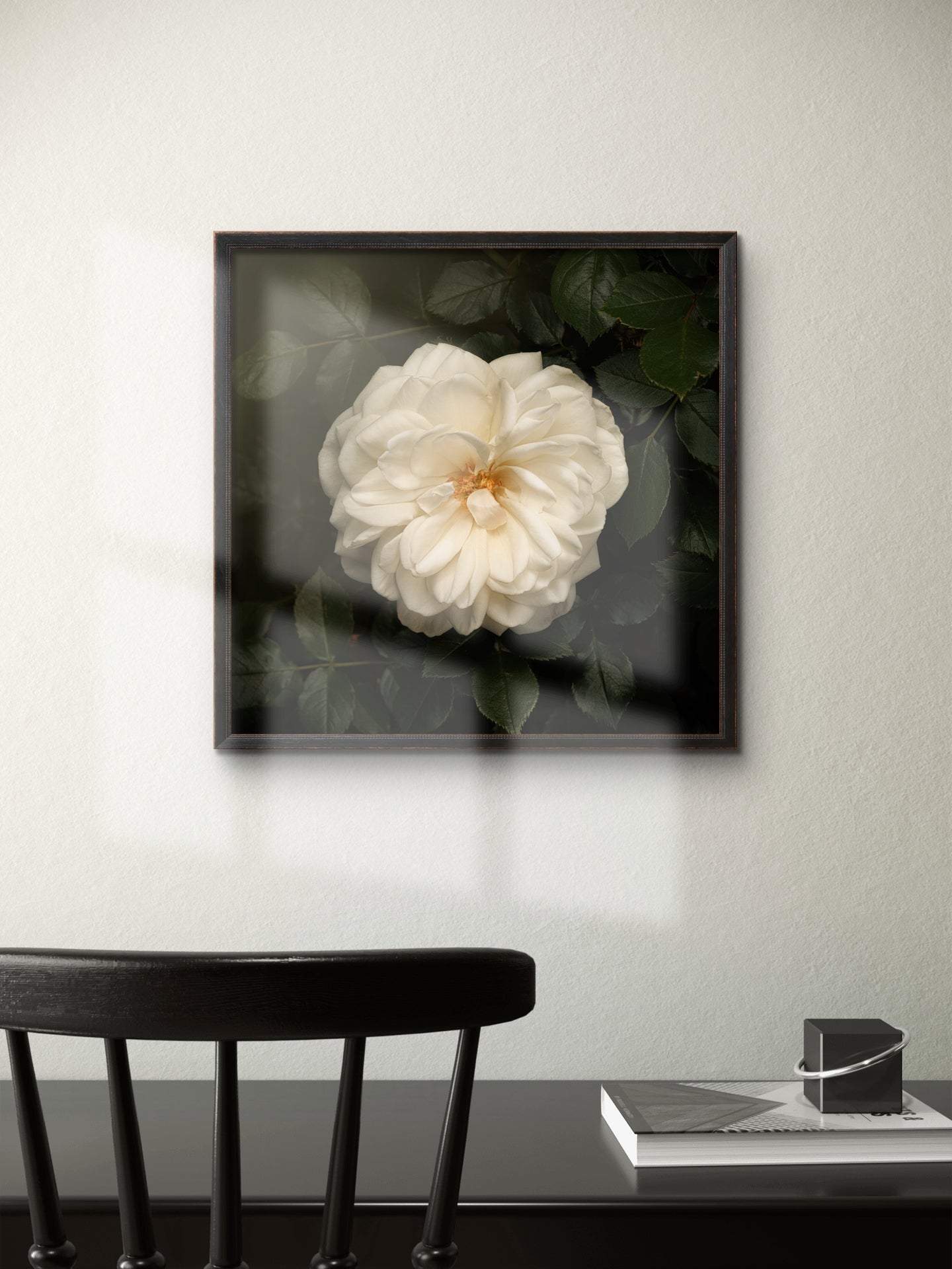 White Iceberg Rose Print
