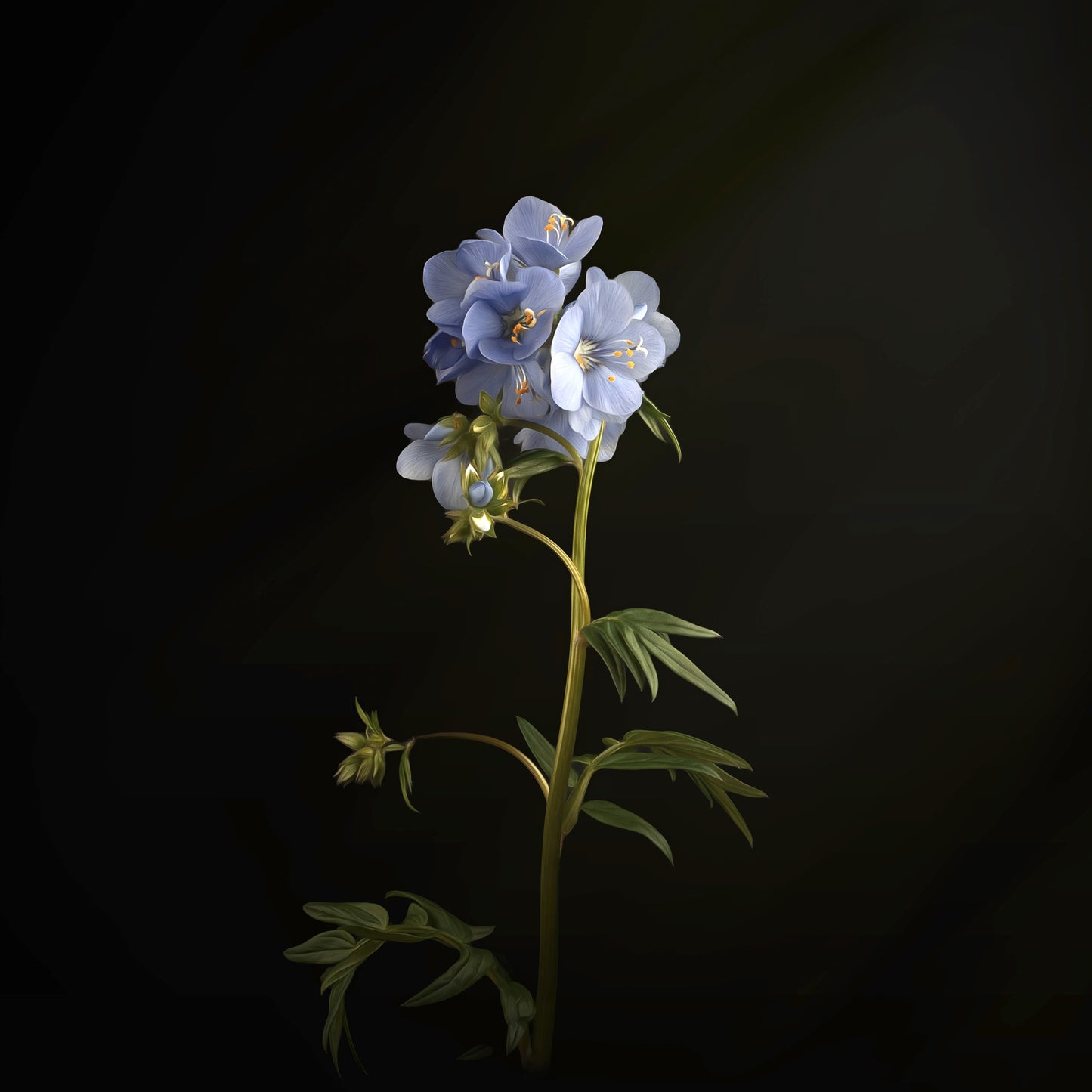 Minimalist Blue Floral Print