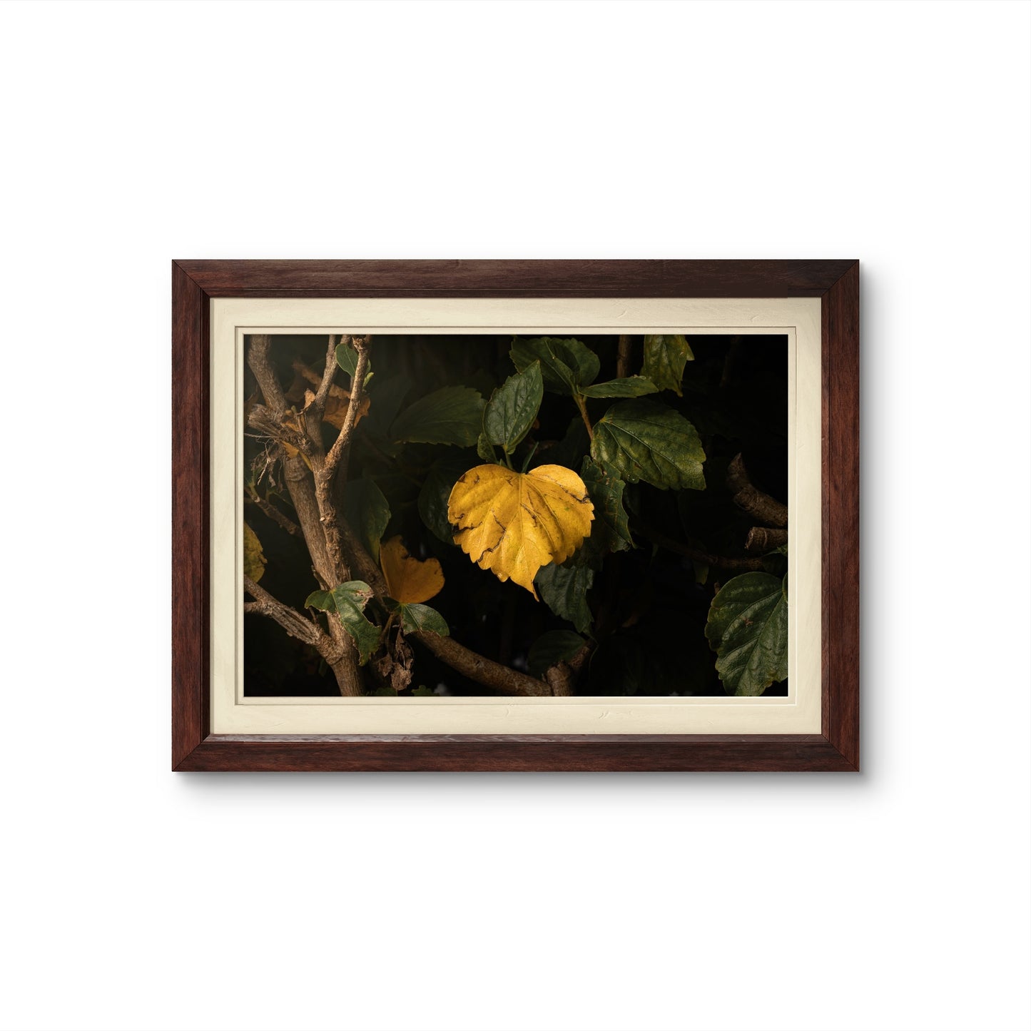 Heart Leaf Unframed Print