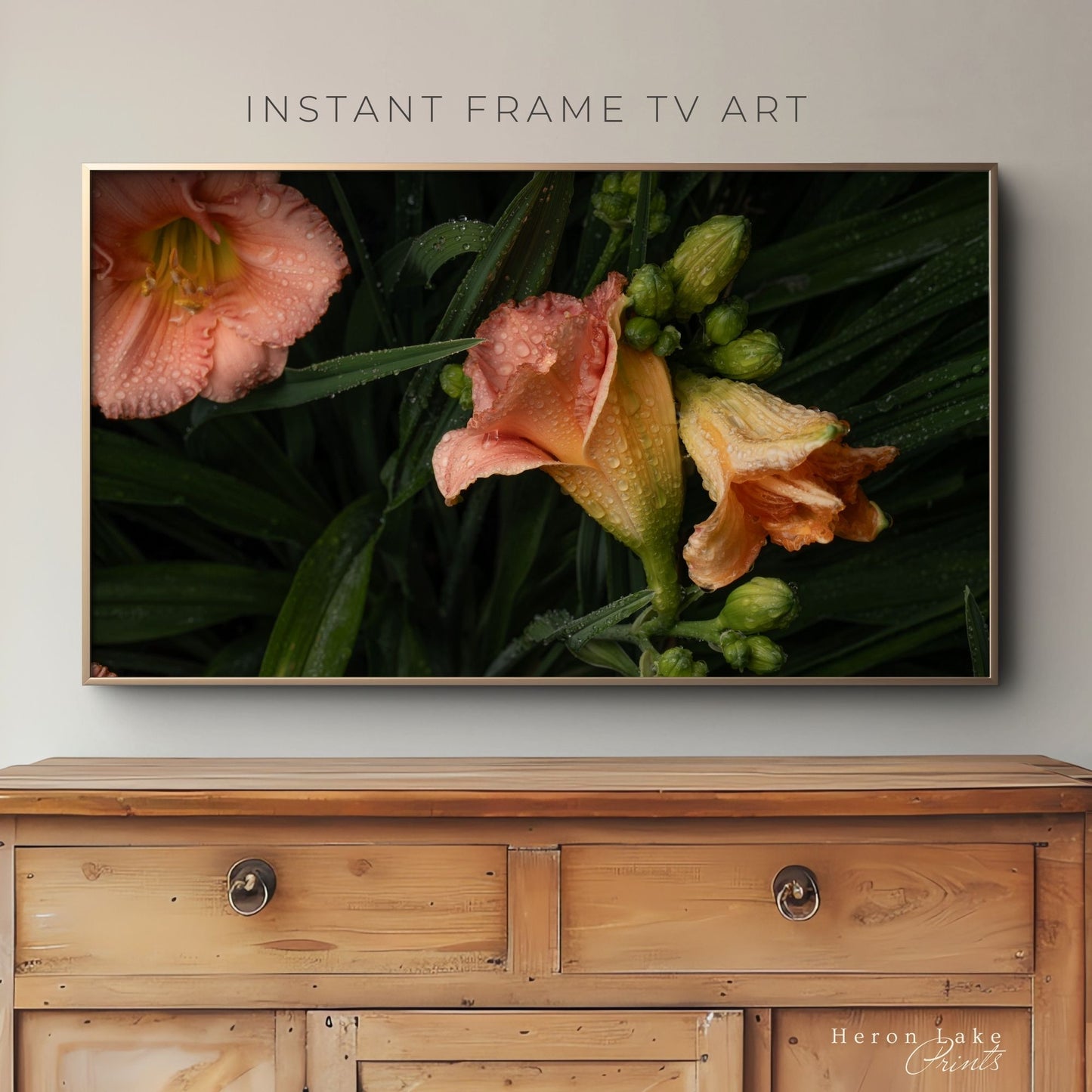 Daylilies after the Rain - Frame TV