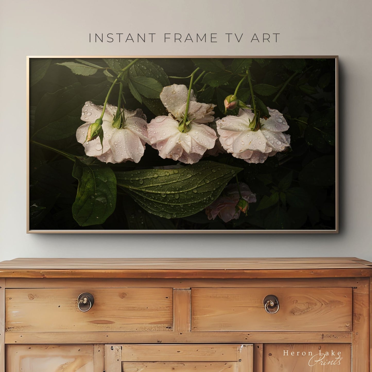 Trio of White Roses - Frame TV
