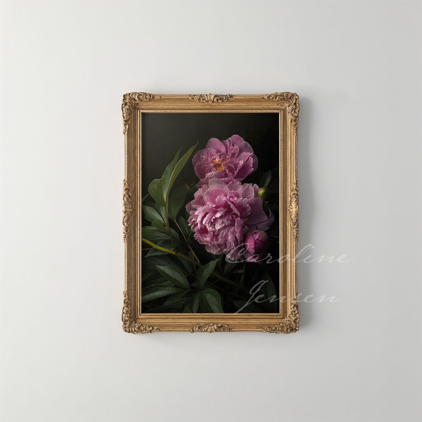 Pink Peonies in the Garden