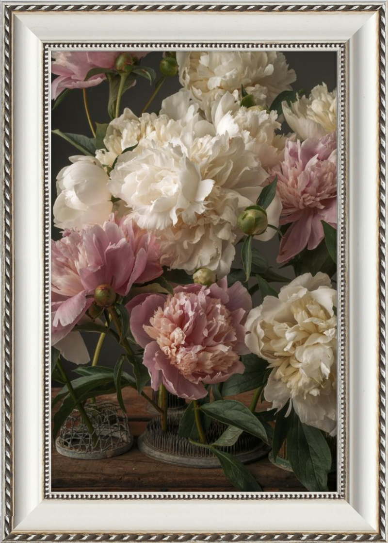 Romantic Peony Fine Art Print