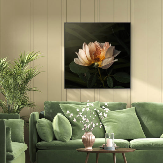 The Half Rose (Download)