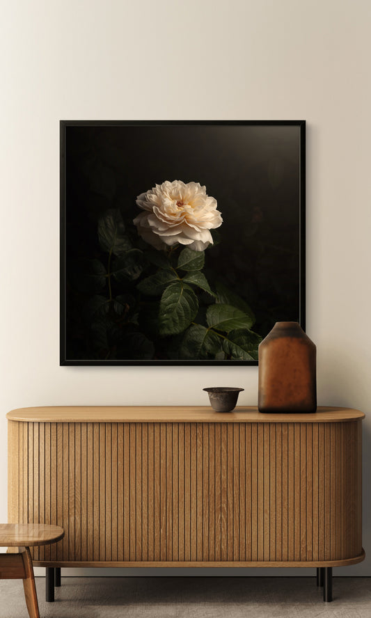 Creamy White Rose (Download)