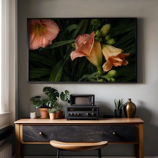 Daylilies after the Rain - Frame TV