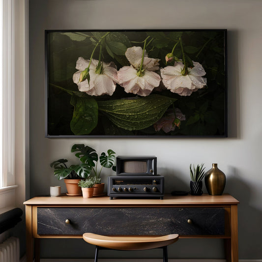 Trio of White Roses - Frame TV