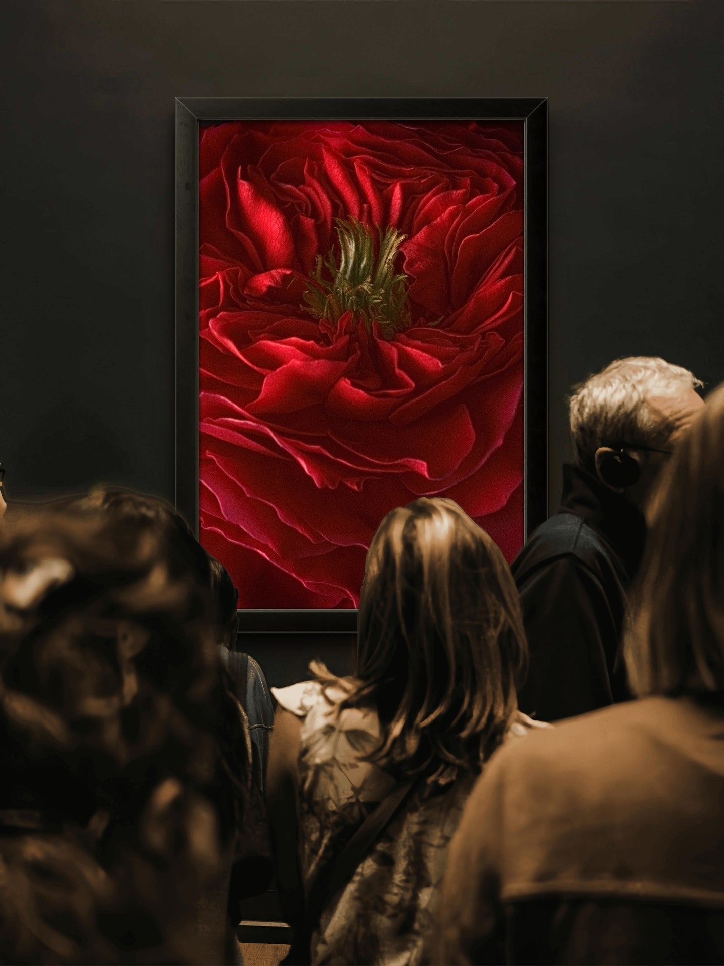 The Winter Red Rose, Dramatic Macro Red Petals Fine Art Photo, Statement Wall Art Piece, Vertical Moody
