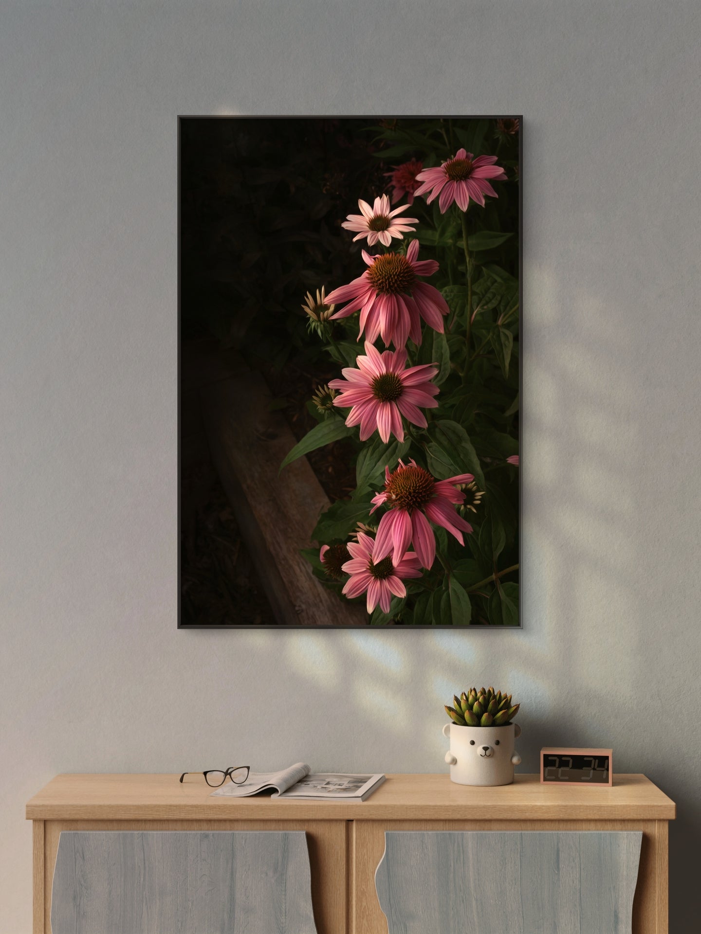 Pink Coneflowers Blooming in a Summer Garden in the Evening Light