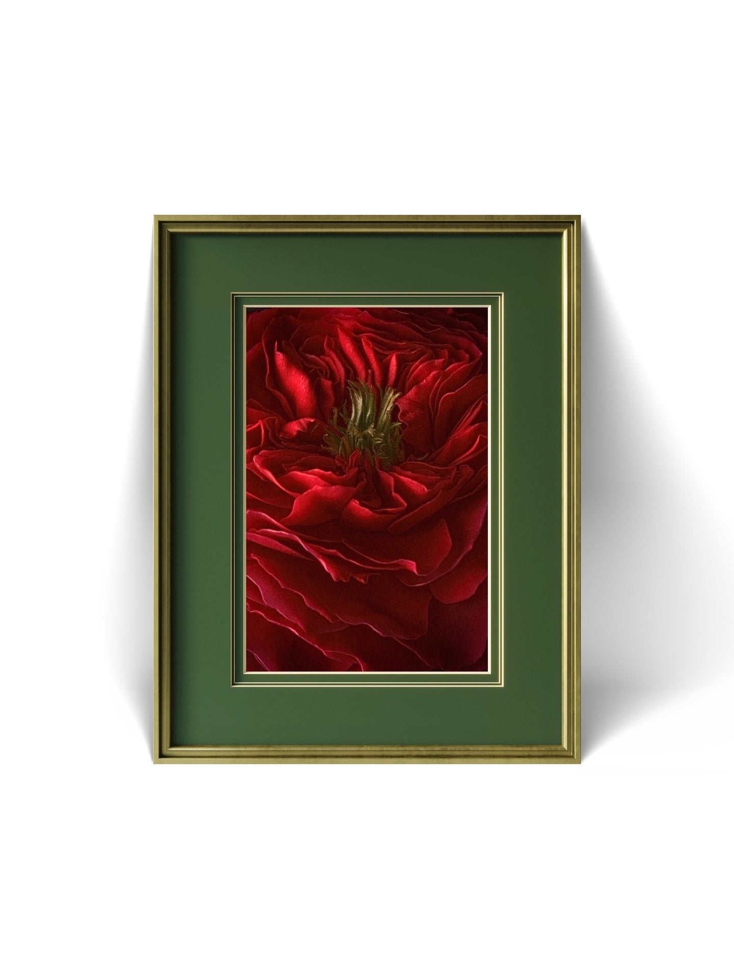 The Winter Red Rose, Dramatic Macro Red Petals Fine Art Photo, Statement Wall Art Piece, Vertical Moody