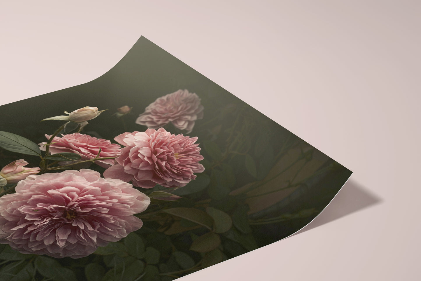 English Garden Roses Print, Elegant Painted Style, Original Photography