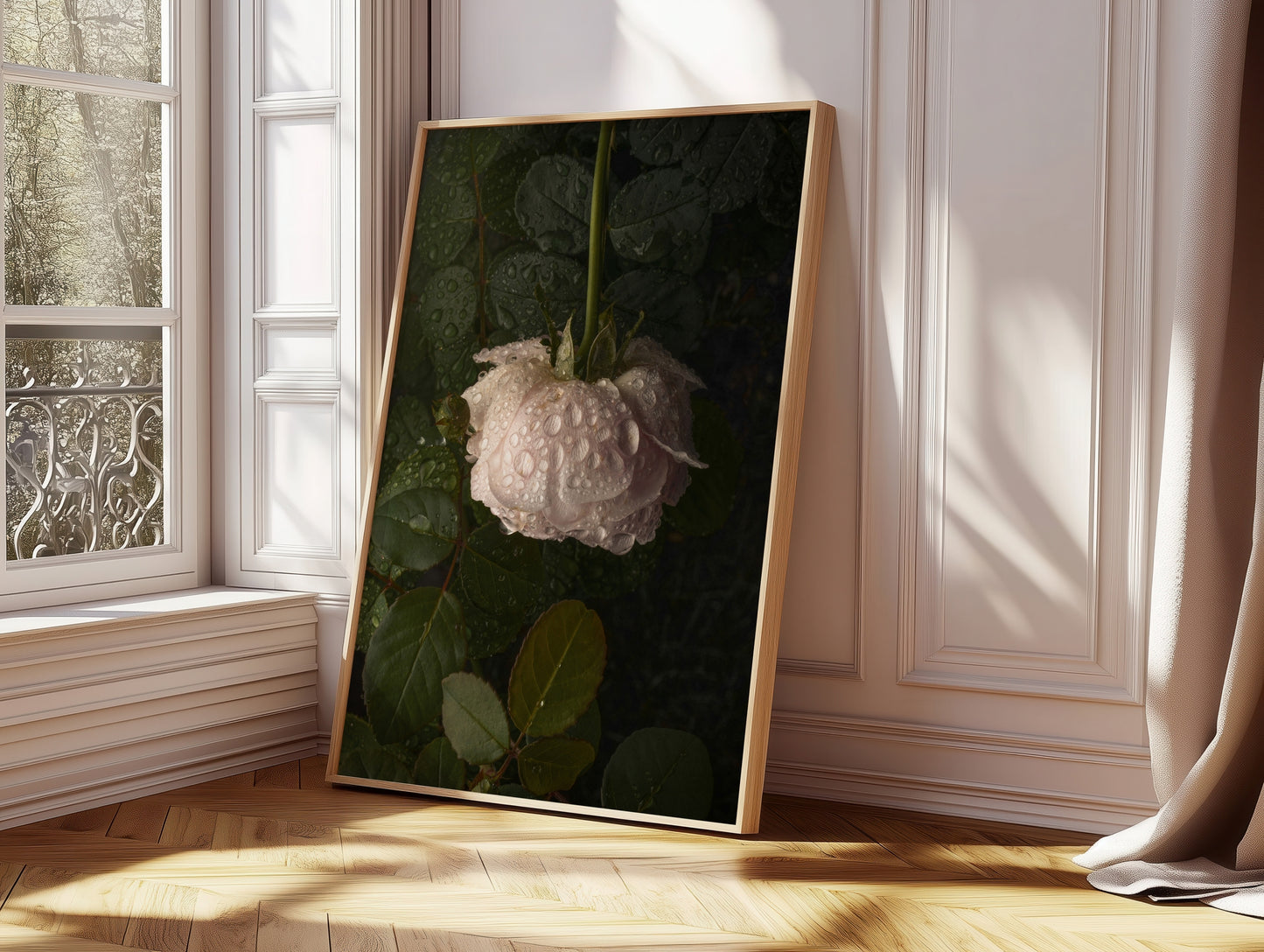 Elegant Close-Up of a Dew-Covered White Rose With Dark Green Leaves
