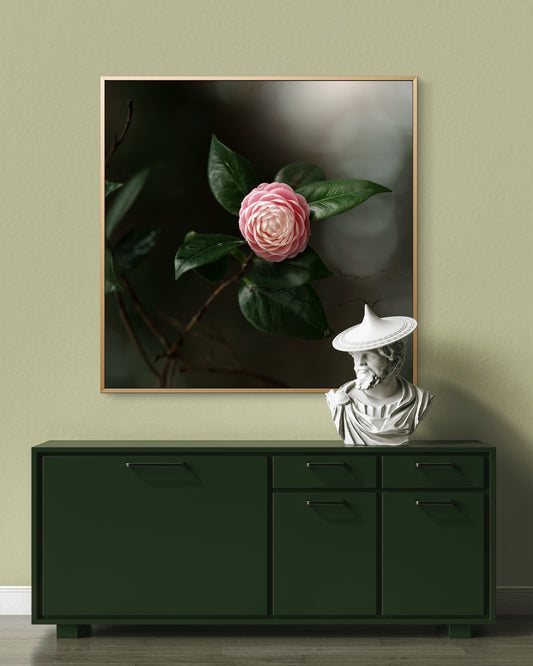 Camellia Pink & White Print