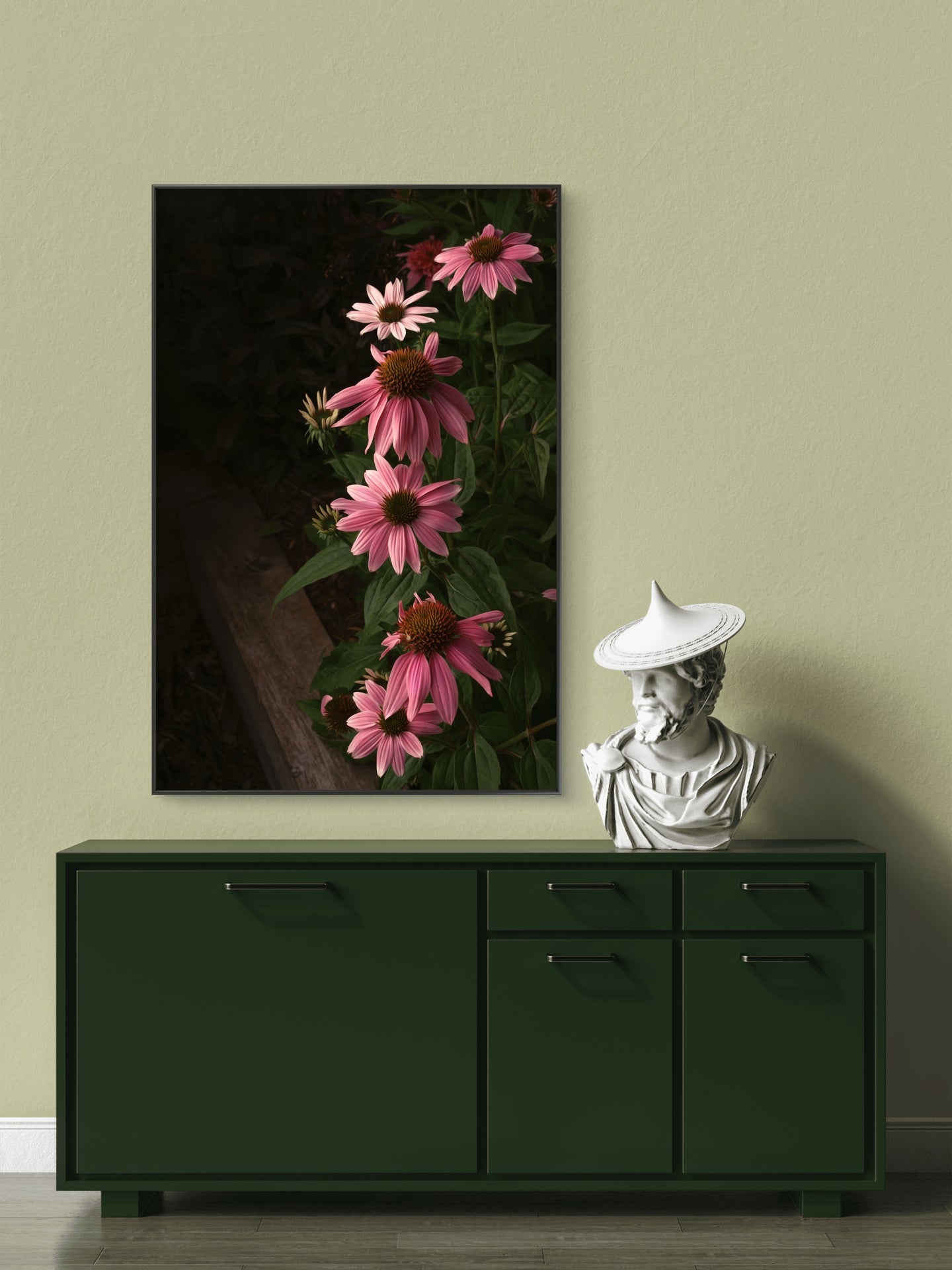 Pink Coneflowers Blooming in a Summer Garden in the Evening Light