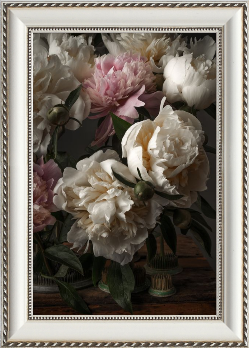 Ivory Blush Peonies
