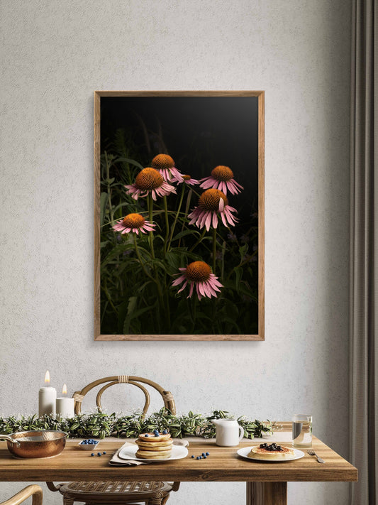 Elegant Pink Coneflowers in a Naturalistic Garden Setting 'The Wayward Petal'