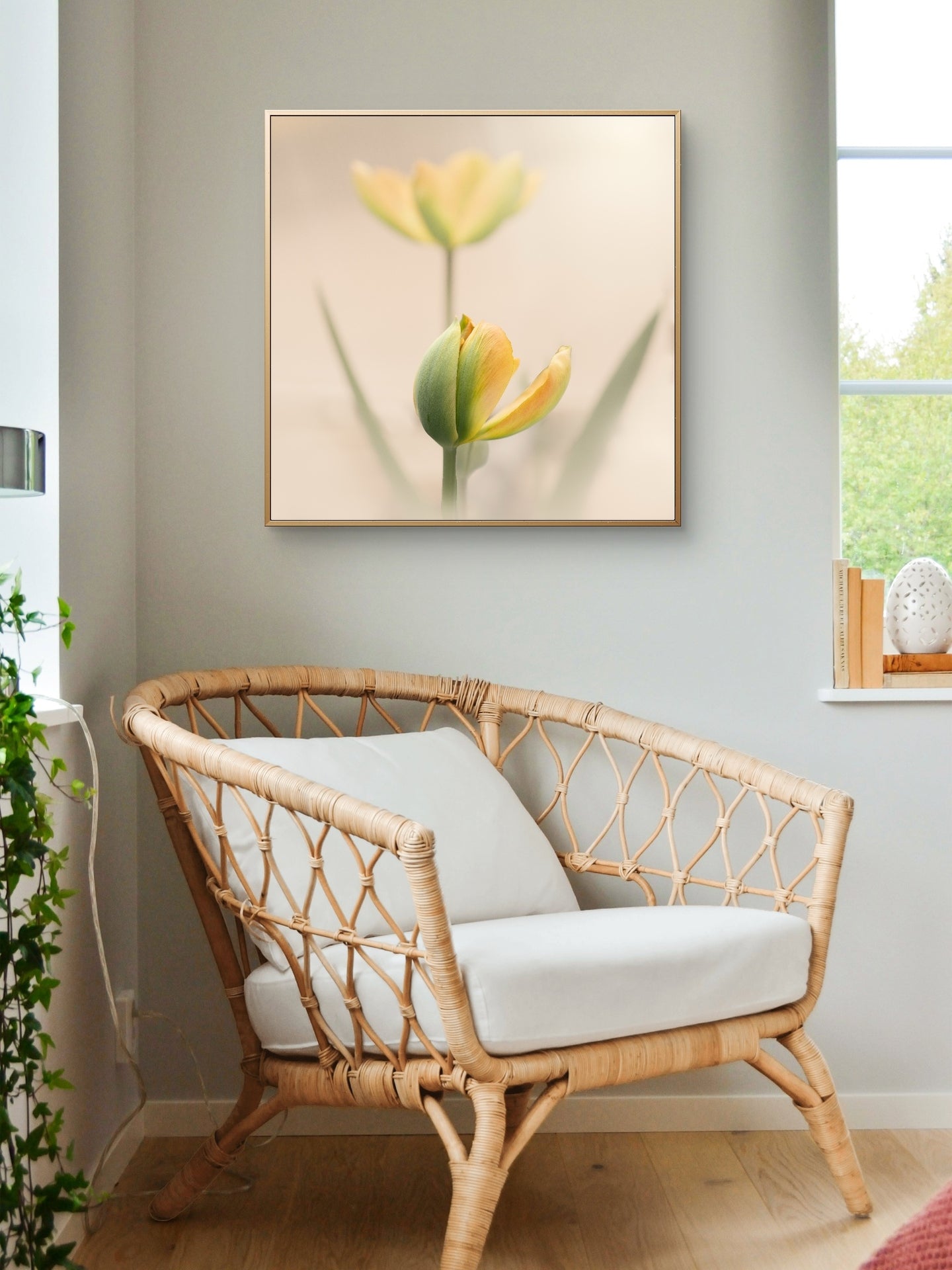 Peaceful Pale Yellow Tulips