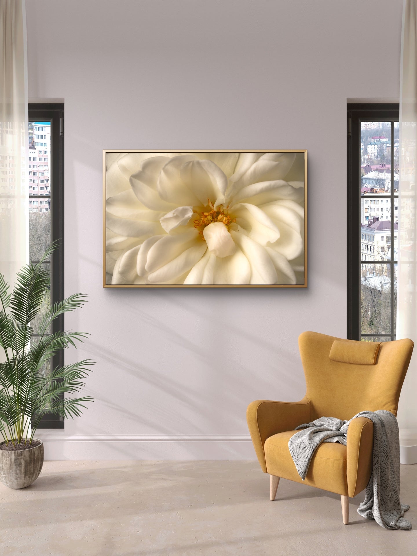 Close View White Rose