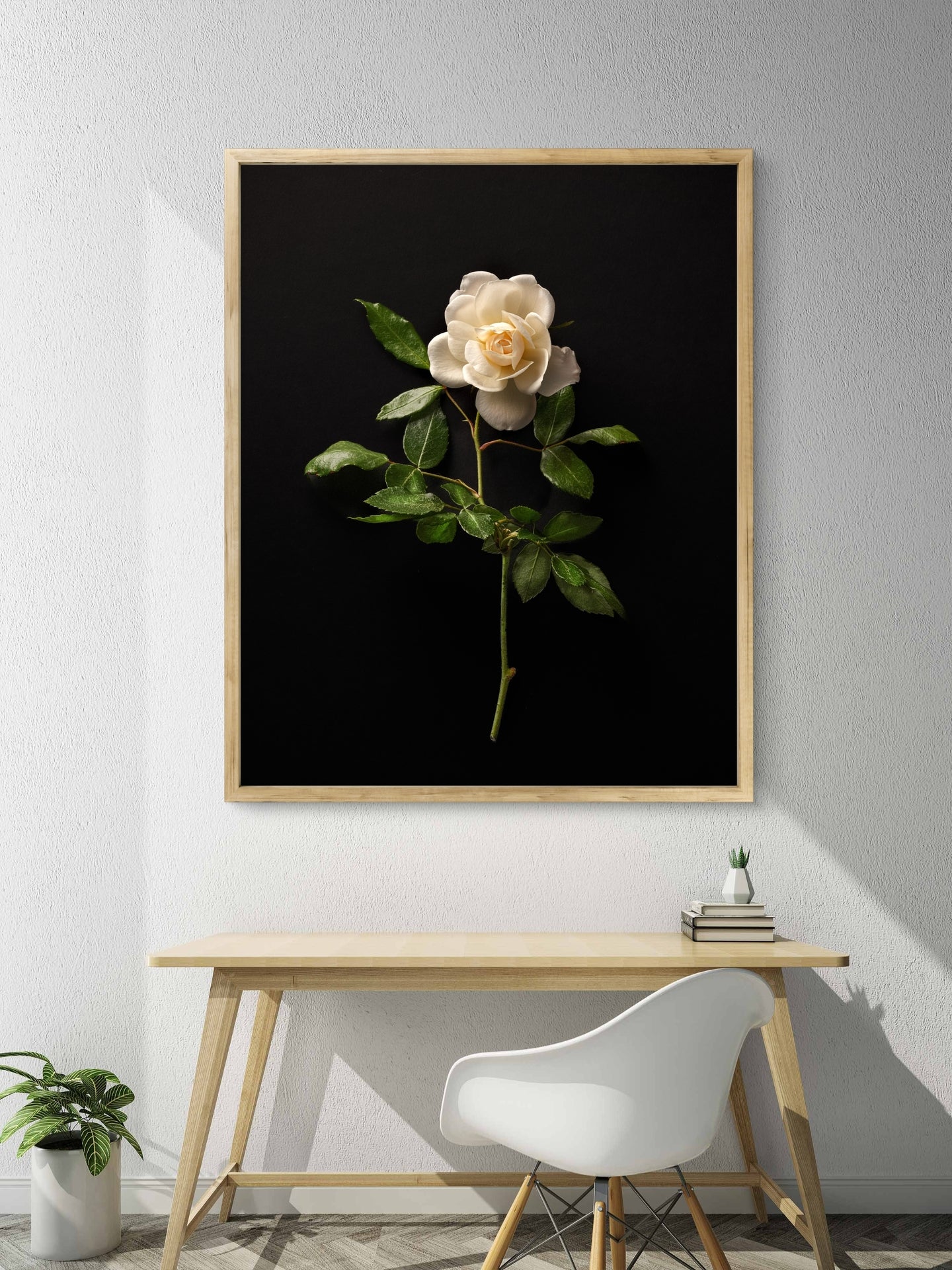 Single White Rose