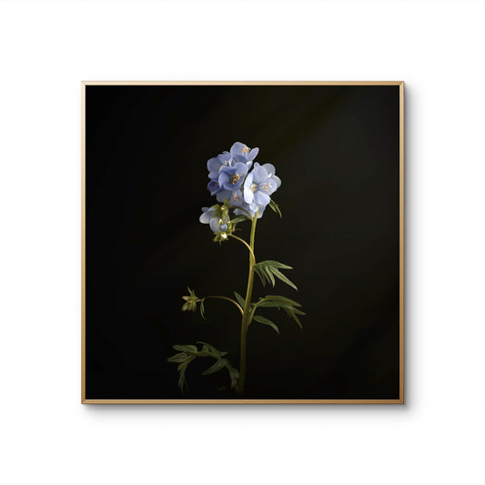 Minimalist Blue Floral Print