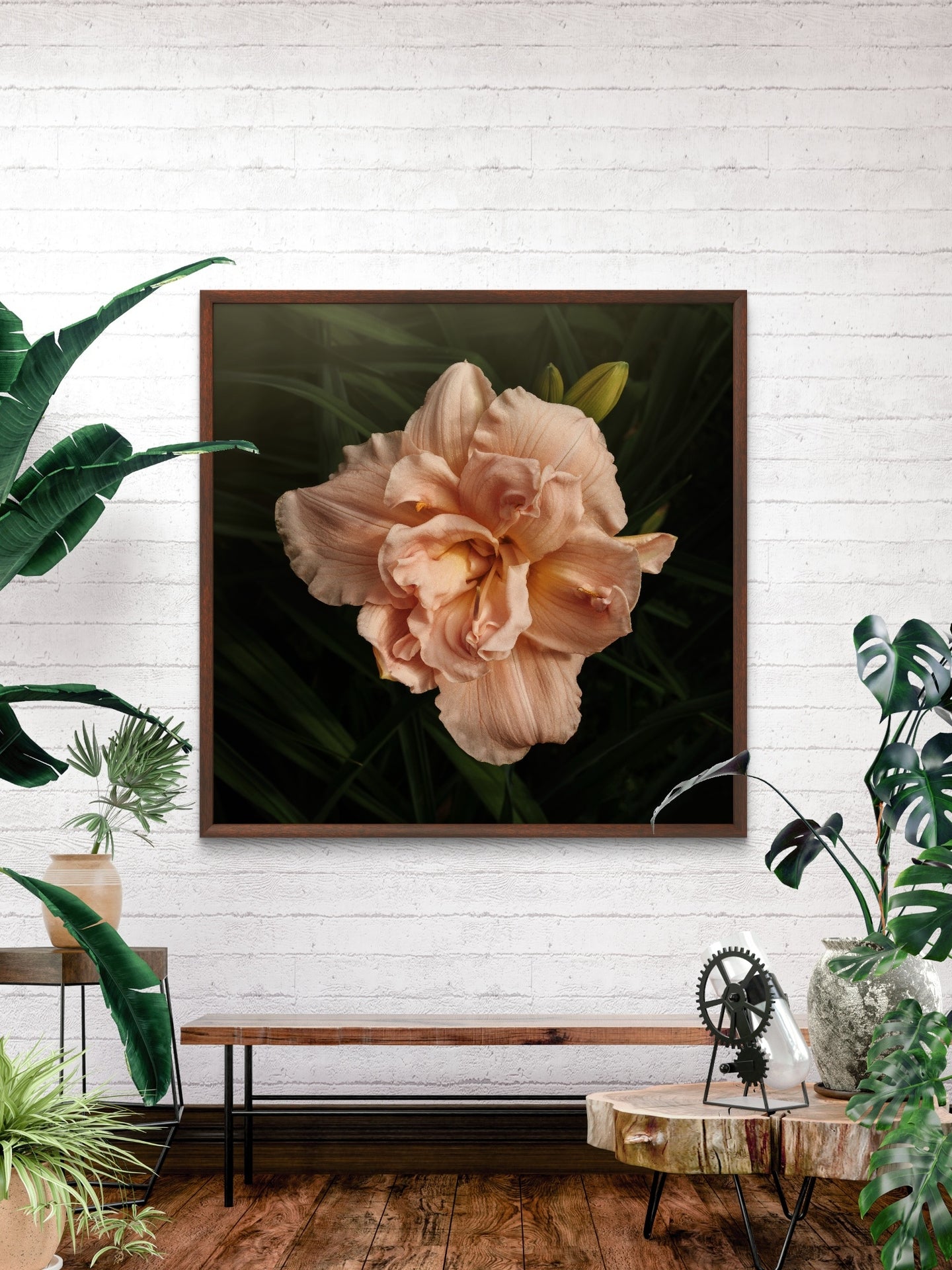 Beautiful Peach Double Daylily