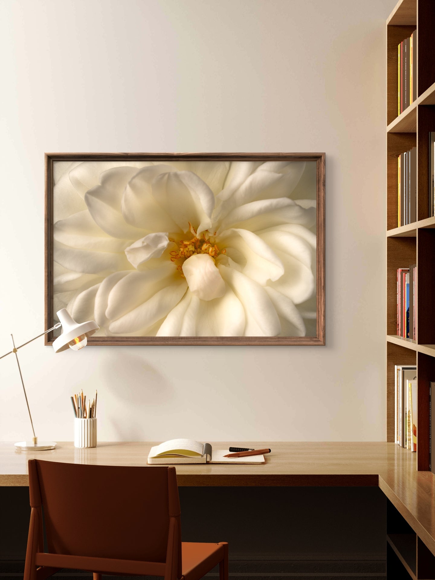 Close View White Rose