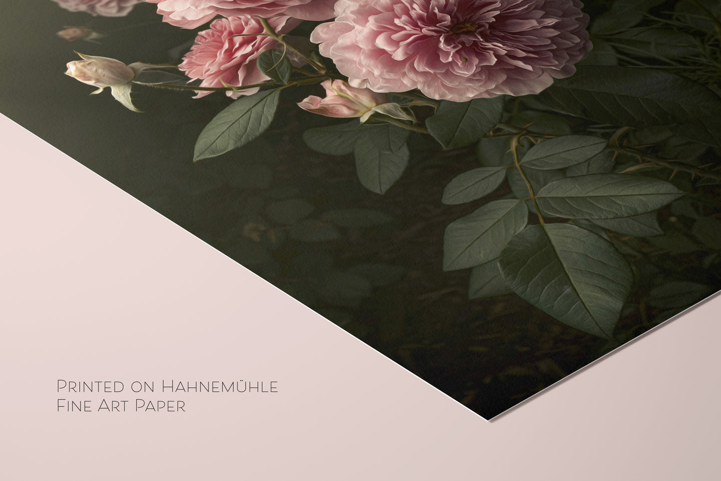English Garden Roses Print, Elegant Painted Style, Original Photography