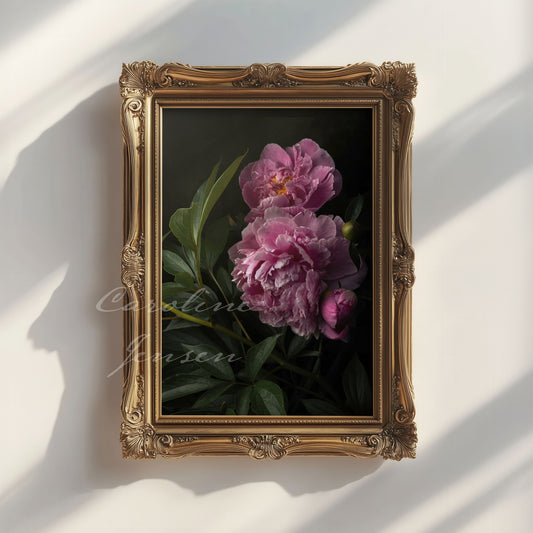 Pink Peonies in the Garden