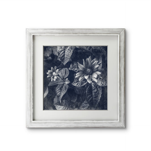 Blue Toned Black and White Floral Abstract