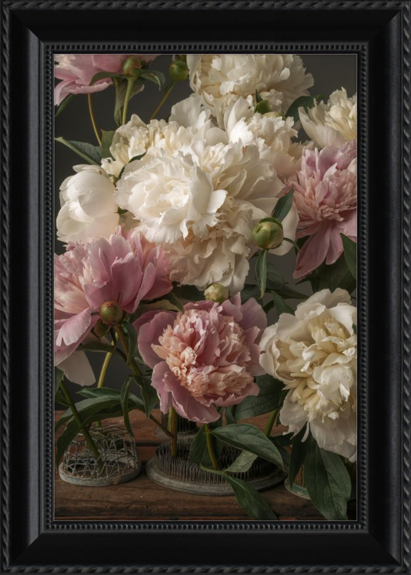 Romantic Peony Fine Art Print