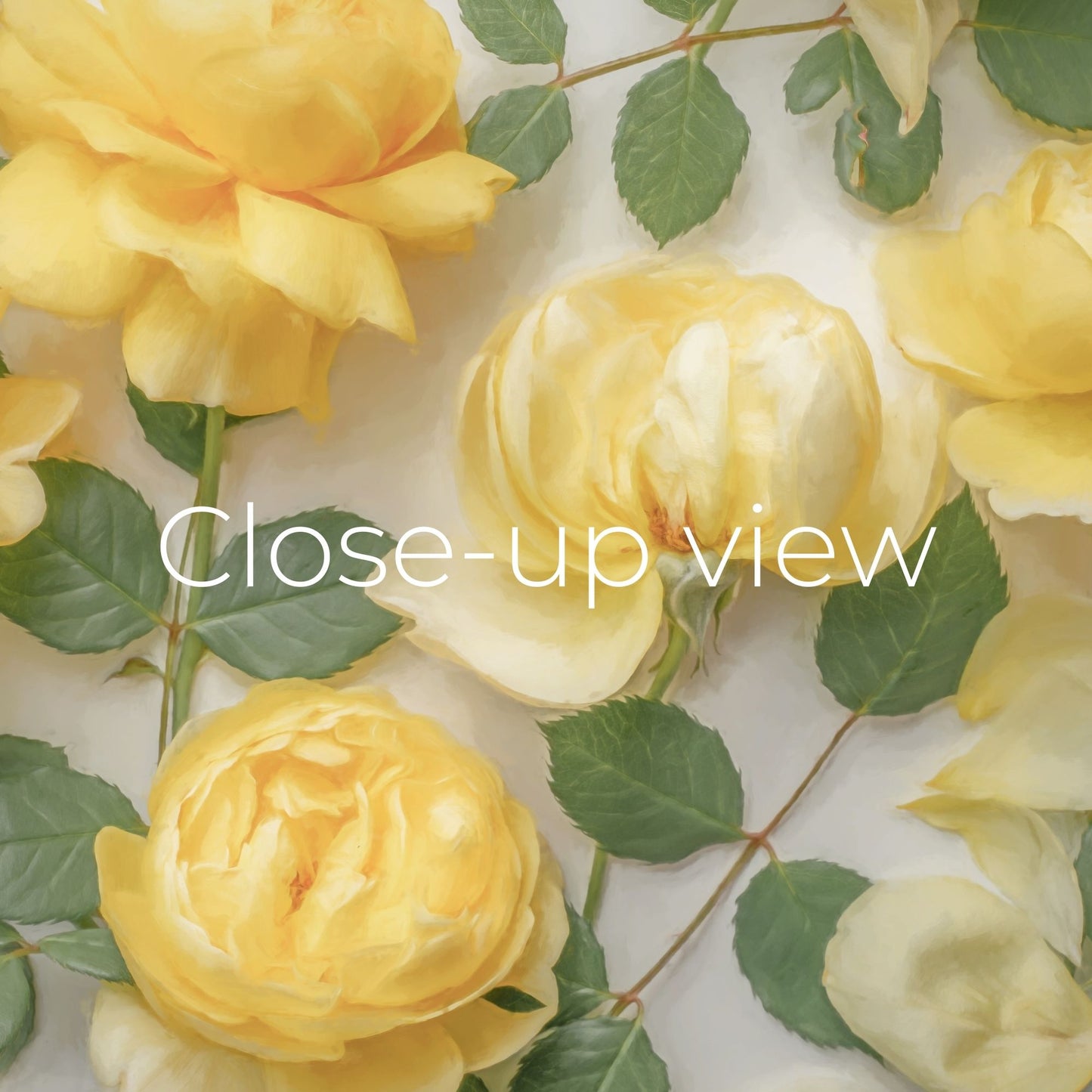Painted Yellow Roses II - Frame TV