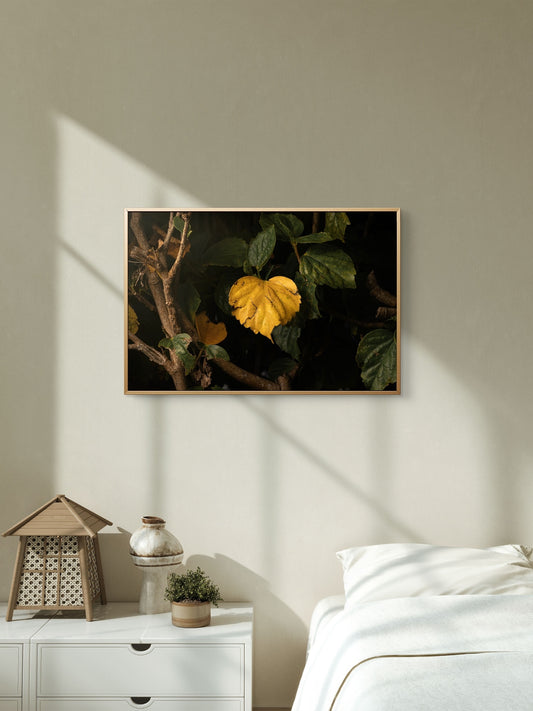 Heart Leaf Unframed Print