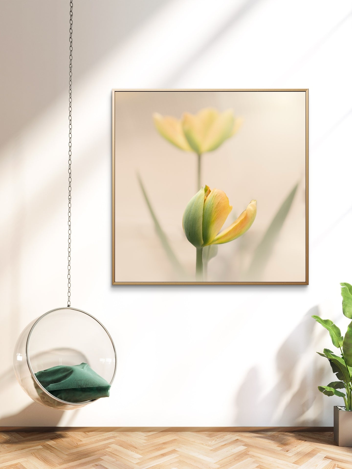 Peaceful Pale Yellow Tulips