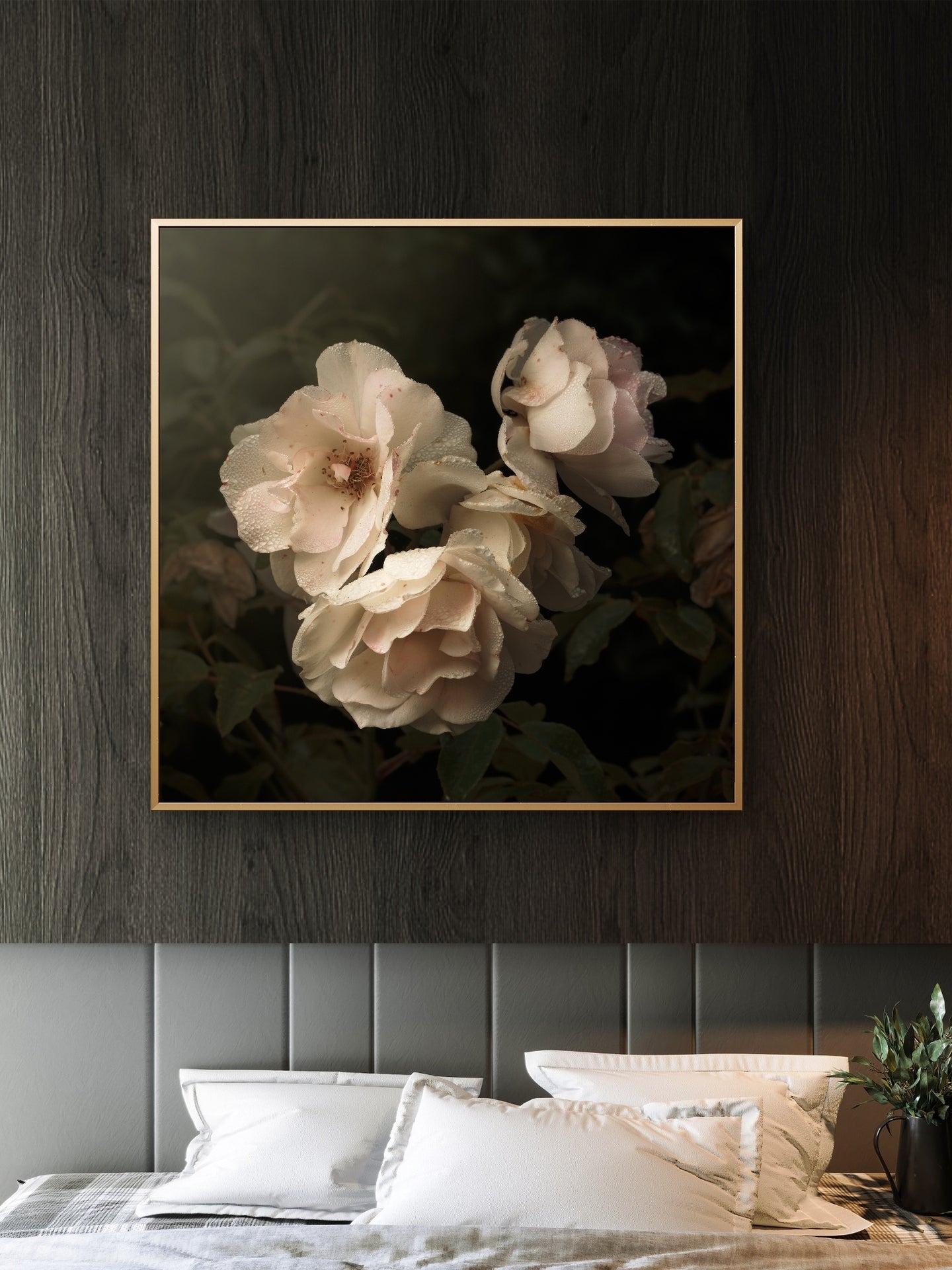 Aging Iceberg Roses