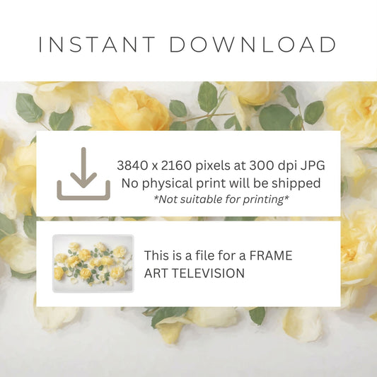 Painted Yellow Roses - Frame TV