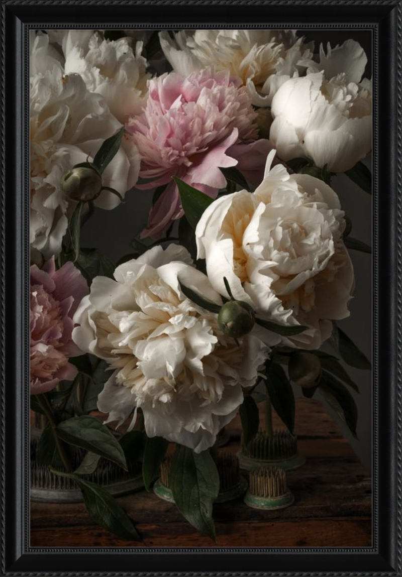 Ivory Blush Peonies