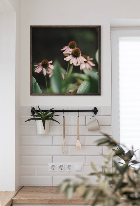 Echinacea in the Garden Printable