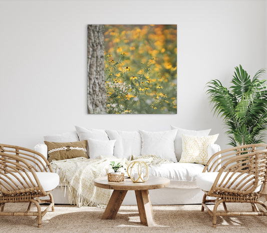 Triloba Rudbeckia in the Forest Printable