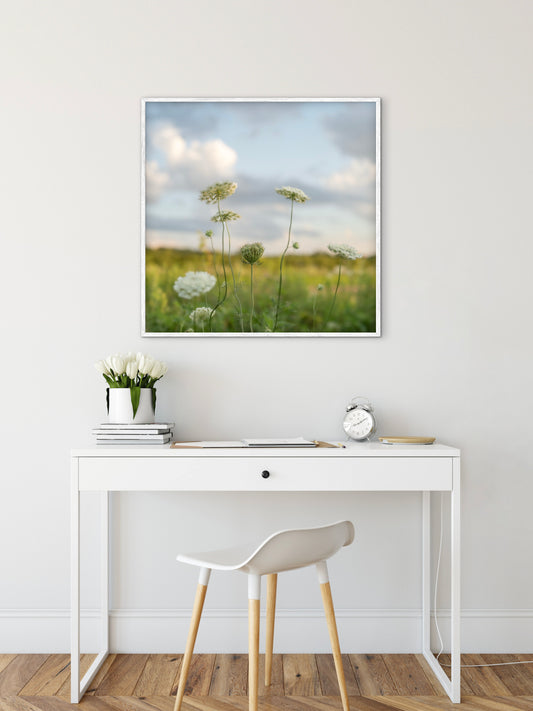 Dreamy Queen Anne's Lace Printable