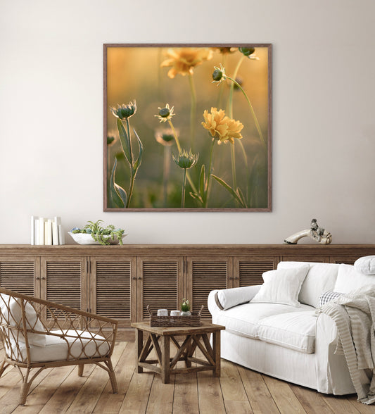 Dreamy Coreopsis Printable