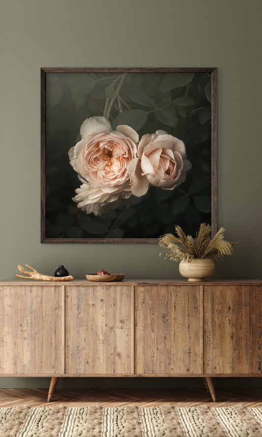 Pale Pink Roses (Download)