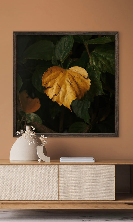 Heart Leaf (Download)