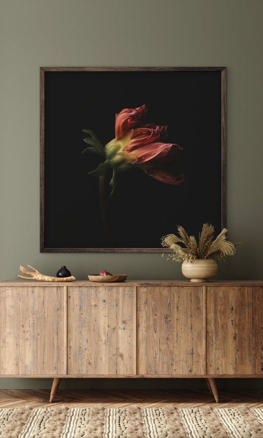 Moody Wilted Dahlia - Download