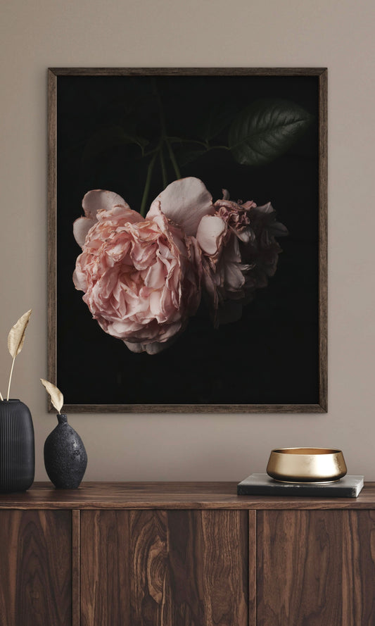 Moody Wilted Pink Roses - Download