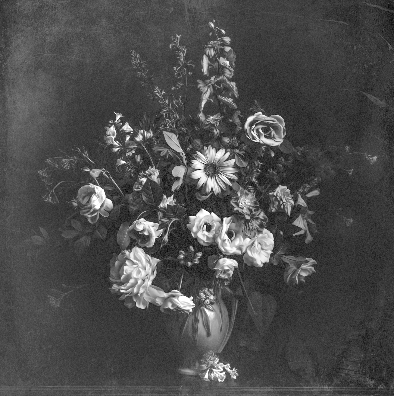 Summer Still Life 2023 (BW)